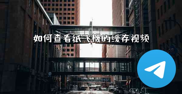 如何查看纸飞機的缓存视频