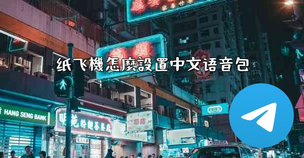 纸飞機怎麼設置中文语音包