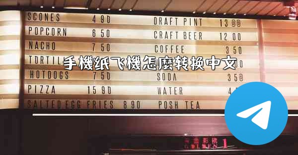 <b>手機纸飞機怎麼转换中文</b>