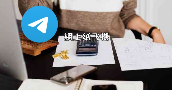 網上纸飞機