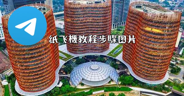 <b>纸飞機教程步驟图片</b>