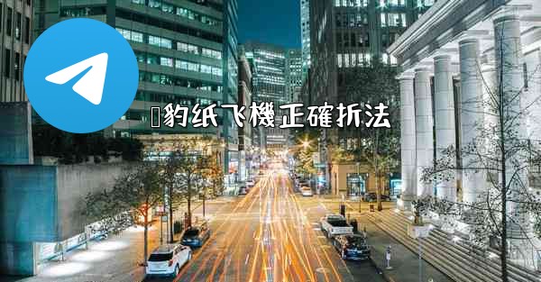 <b>猎豹纸飞機正確折法</b>