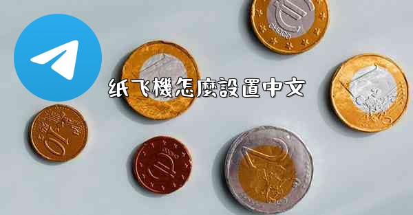 纸飞機怎麼設置中文
