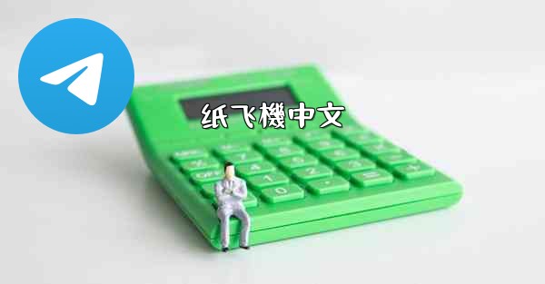 纸飞機中文