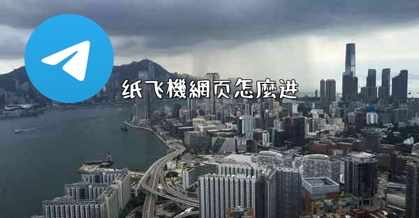 纸飞機網页怎麼进