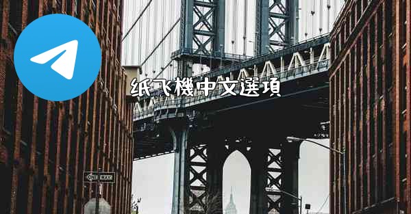 纸飞機中文選項