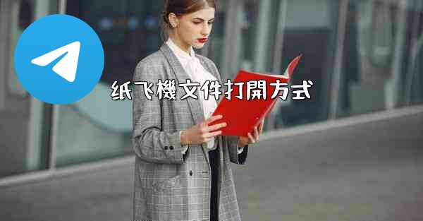 纸飞機文件打開方式