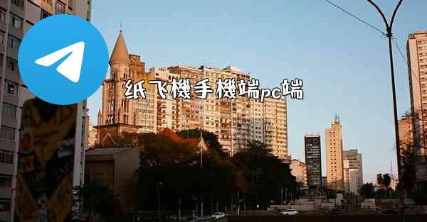 纸飞機手機端pc端