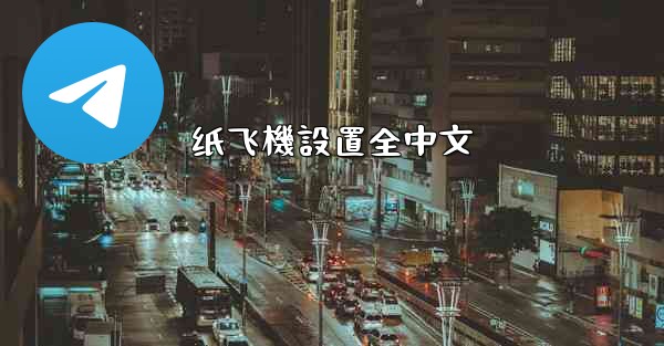 纸飞機設置全中文