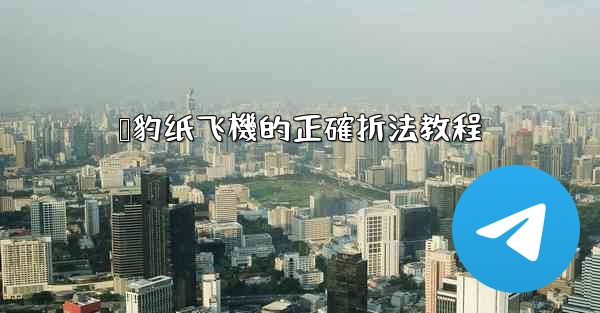 猎豹纸飞機的正確折法教程