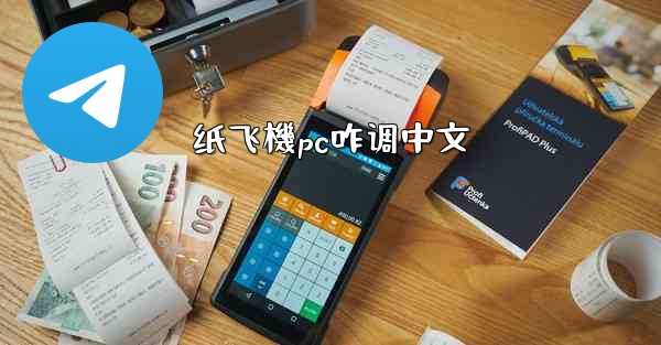 纸飞機pc咋调中文