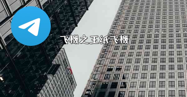 飞機之王纸飞機