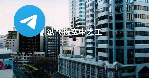 纸飞機空中之王