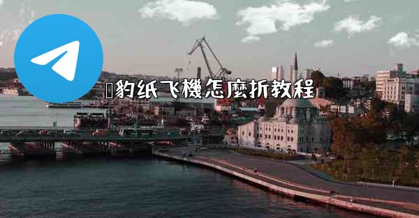 猎豹纸飞機怎麼折教程