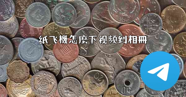 纸飞機怎麼下视频到相冊