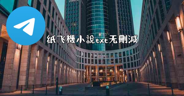 纸飞機小說txt无刪減