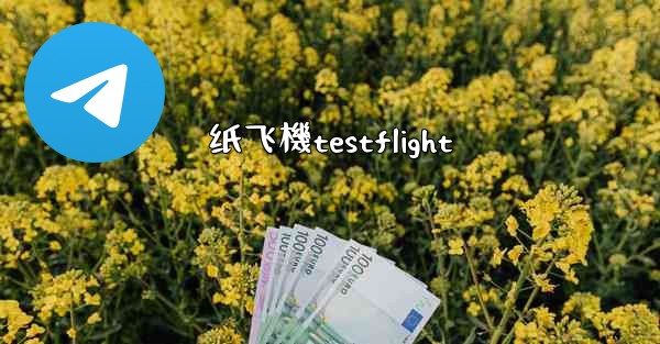 纸飞機testflight