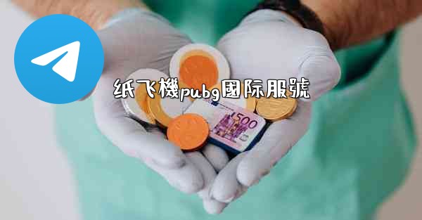 纸飞機pubg國际服號