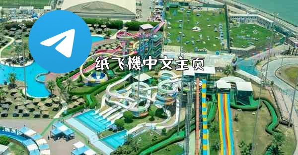 纸飞機中文主页