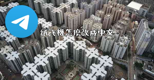 纸飞機怎麼改成中文