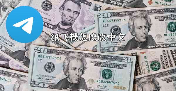 纸飞機怎麼改中文
