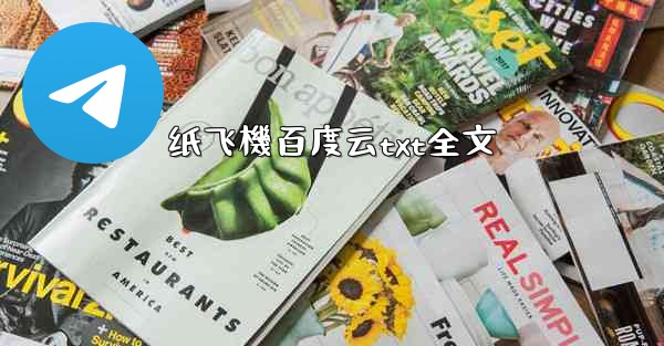 纸飞機百度云txt全文