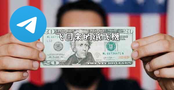 飞回來的纸飞機