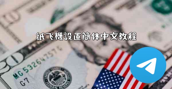 纸飞機設置簡体中文教程