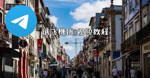 <b>纸飞機折叠视频教程</b>