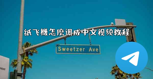 纸飞機怎麼调成中文视频教程