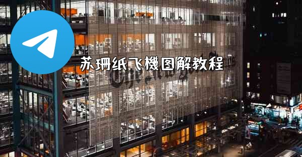 苏珊纸飞機图解教程