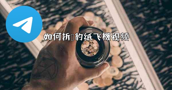 如何折猎豹纸飞機视频