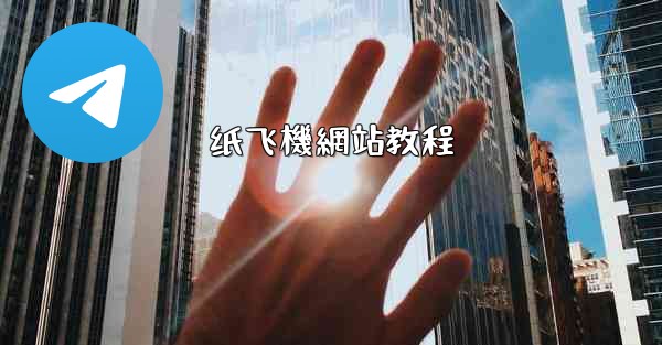 纸飞機網站教程