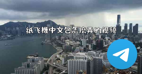 纸飞機中文包怎麼弄的视频