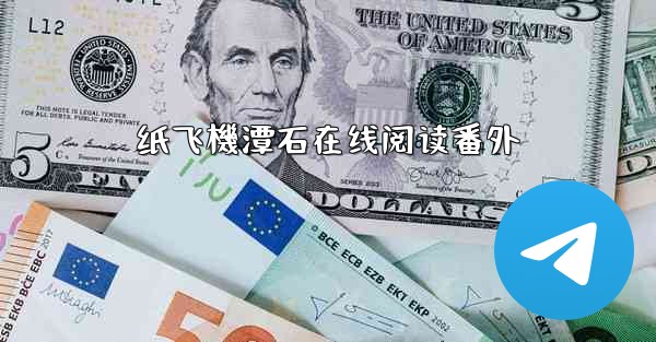 纸飞機潭石在线阅读番外