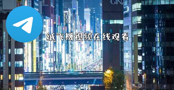 纸飞機视频在线观看