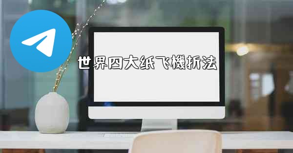 世界四大纸飞機折法