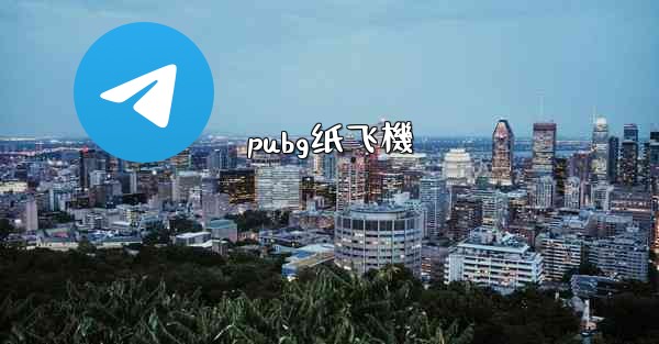 pubg纸飞機