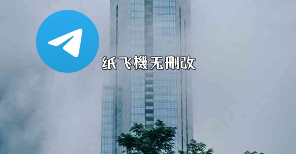 纸飞機无刪改