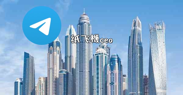 纸飞機ceo