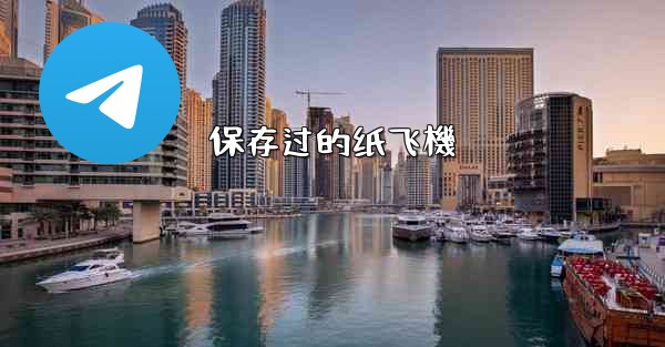 保存过的纸飞機