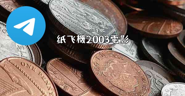 纸飞機2003電影