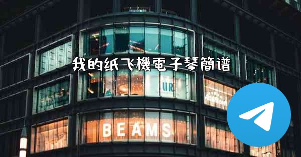 <b>我的纸飞機電子琴簡谱</b>