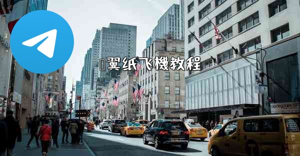 鸭翼纸飞機教程