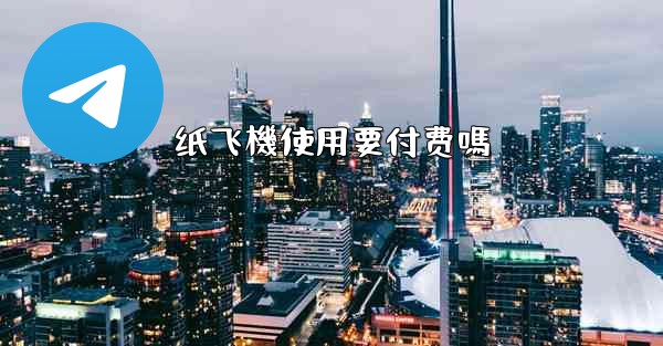 纸飞機使用要付费嗎