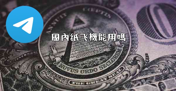 國內纸飞機能用嗎