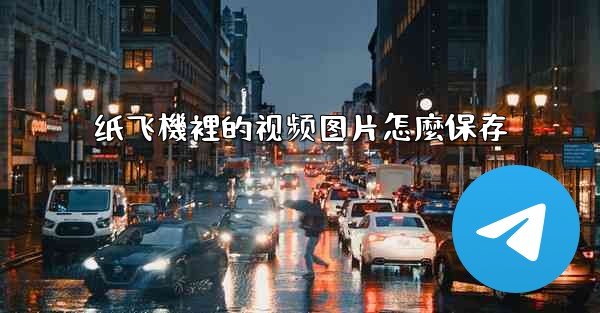 纸飞機裡的视频图片怎麼保存