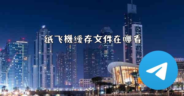 纸飞機缓存文件在哪看