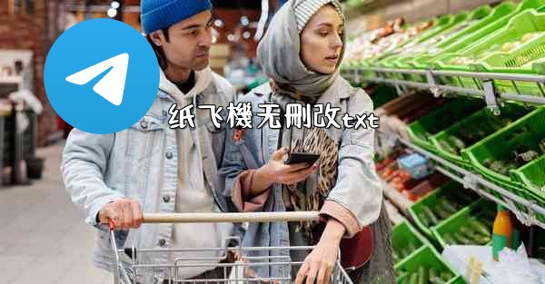 纸飞機无刪改txt