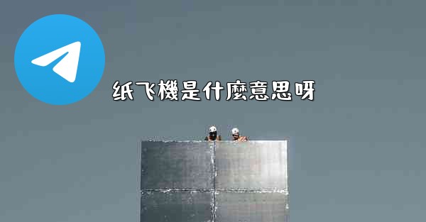 纸飞機是什麼意思呀